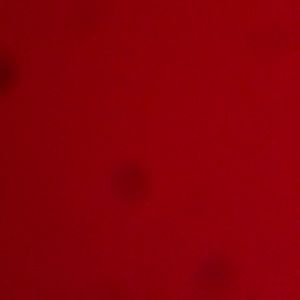 Meet your Posher, Kaiden